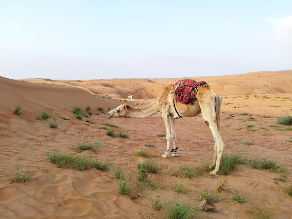 Sands Dream Tourism Camp Shāhiq Buitenkant foto