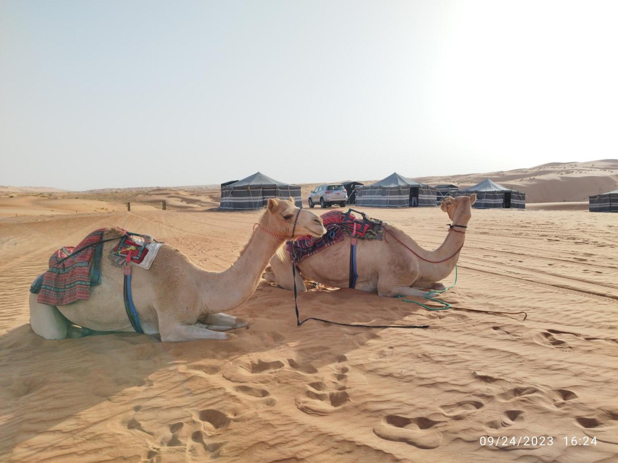 Sands Dream Tourism Camp Shāhiq Buitenkant foto